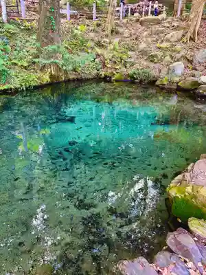 泉神社(茨城県)