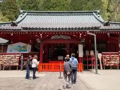 箱根神社の本殿