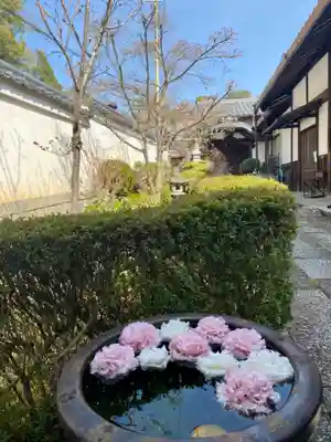 金光院の手水舎