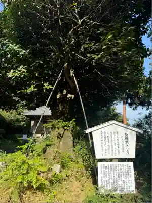 慈光寺(埼玉県)