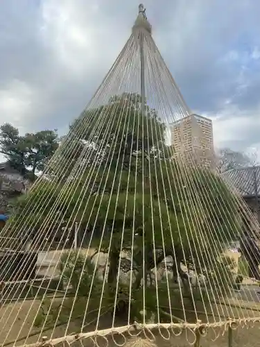天王寺(東京都)