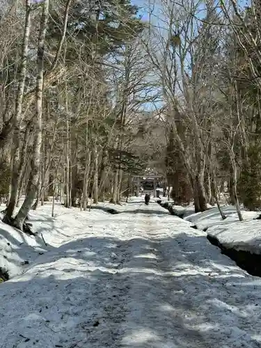 戸隠神社奥社(長野県)