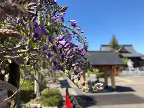總社 和田八幡宮の自然