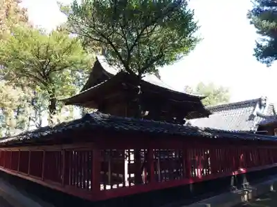 伊弉諾神社(埼玉県)