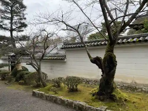 理性院(京都府)