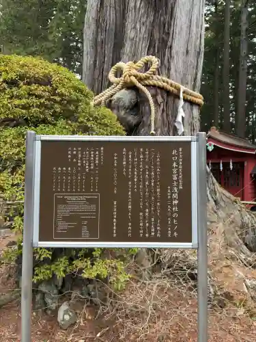 北口本宮冨士浅間神社(山梨県)