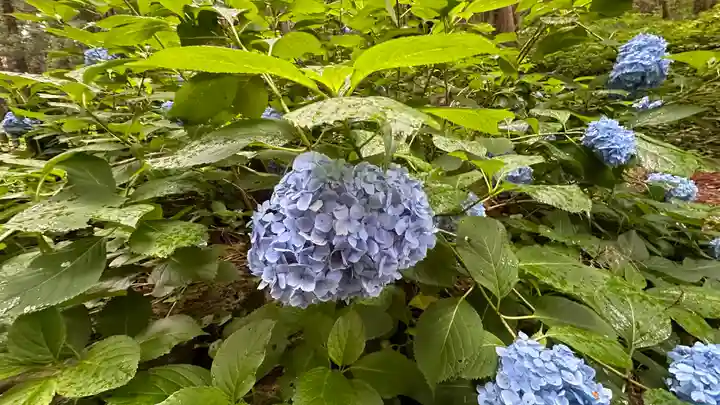 鳥越八幡神社(山形県)