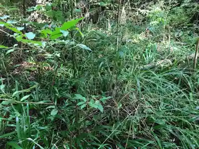 山王神社の周辺