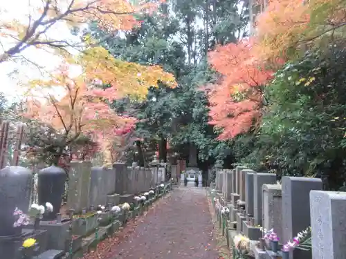 本土寺(千葉県)
