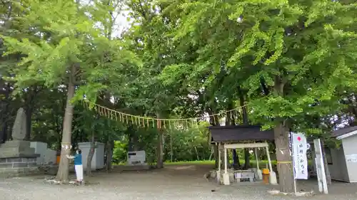 星置神社の自然