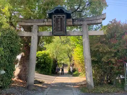 日吉神社の鳥居