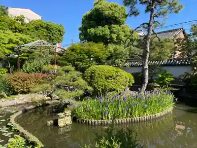 十輪院(奈良県)