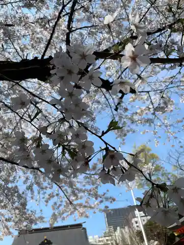 花園神社の自然