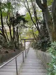 白根神社(群馬県)