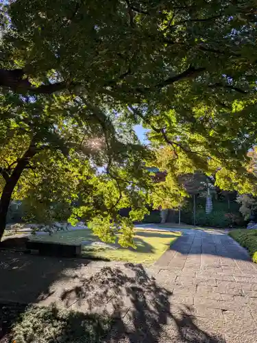 福蔵院(東京都)