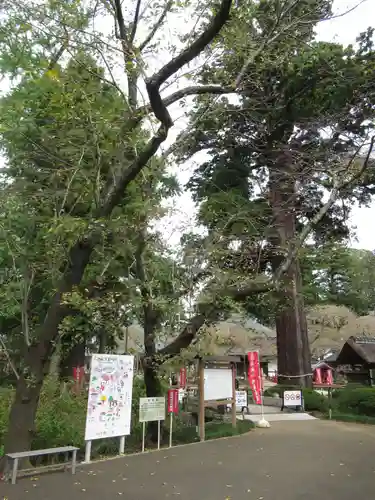 六地蔵寺(茨城県)