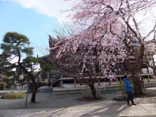 本覚寺の建物その他