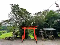 戸隠神社(奈良県)