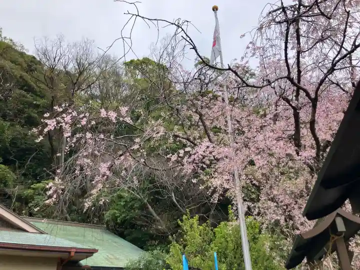 根岸八幡神社の{uncategorized: "未分類", other: "その他", undefined: "問題あり", building: "その他建物", grave: "お墓", sacred_gate: "鳥居", guardian: "狛犬", statue: "像", buddha: "仏像", history: "歴史", nature: "自然", garden: "庭園", animal: "動物", pagoda: "塔", temizu: "手水舎", mountain_gate: "山門・神門", sanctuary: "本殿・本堂", subordinate: "末社・摂社", art: "芸術", scenery: "景色", jizo: "地蔵", ema: "絵馬", goshuin: "御朱印", omikuji: "おみくじ", items: "授与品その他", amulet: "お守り", goshuincho: "御朱印帳", eats: "食事", festival: "お祭り", votive_dance: "神楽", shichigosan: "七五三参", wedding: "結婚式", experience: "体験その他", initially: "初詣", around: "周辺", anti_infection: "感染症対策"}