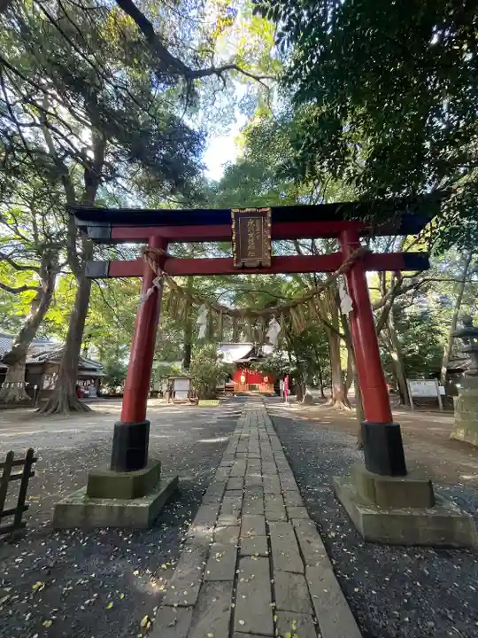 氷川女體神社(埼玉県)
