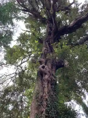 日高神社の自然