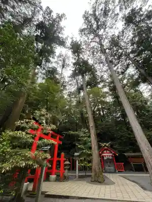 椿大神社(三重県)