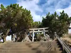 大杉神社の建物その他