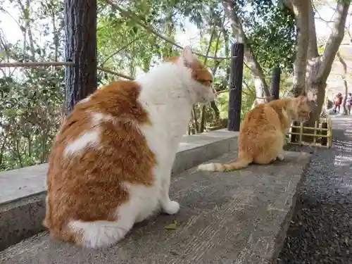 熊野若王子神社(京都府)