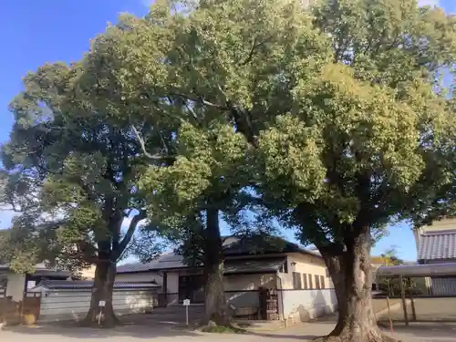 新徳寺の庭園