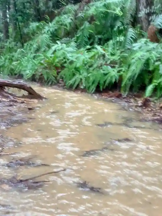 熊野本宮大社の{uncategorized: "未分類", other: "その他", undefined: "問題あり", building: "その他建物", grave: "お墓", sacred_gate: "鳥居", guardian: "狛犬", statue: "像", buddha: "仏像", history: "歴史", nature: "自然", garden: "庭園", animal: "動物", pagoda: "塔", temizu: "手水舎", mountain_gate: "山門・神門", sanctuary: "本殿・本堂", subordinate: "末社・摂社", art: "芸術", scenery: "景色", jizo: "地蔵", ema: "絵馬", goshuin: "御朱印", omikuji: "おみくじ", items: "授与品その他", amulet: "お守り", goshuincho: "御朱印帳", eats: "食事", festival: "お祭り", votive_dance: "神楽", shichigosan: "七五三参", wedding: "結婚式", experience: "体験その他", initially: "初詣", around: "周辺", anti_infection: "感染症対策"}