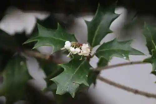 愛宕神社の周辺