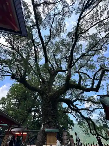 熊野那智大社(和歌山県)