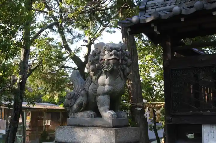 皇小津神社の狛犬