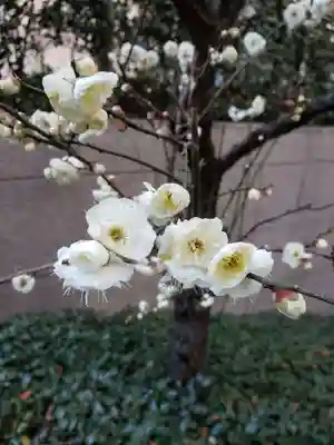 銀世界稲荷神社の自然