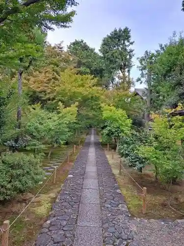 鹿王院(京都府)