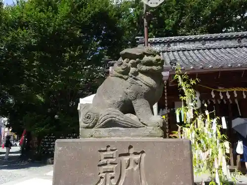 川越熊野神社の狛犬