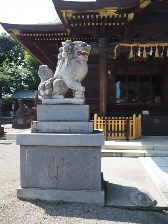 赤羽八幡神社の狛犬