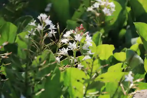 神炊館神社 ⁂奥州須賀川総鎮守⁂の自然