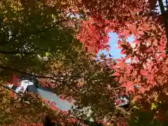 滑川神社 - 仕事と子どもの守り神の自然