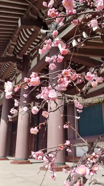 東長寺のその他建物