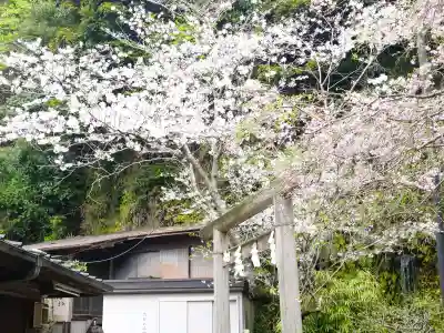 銭洗弁財天宇賀福神社の{uncategorized: "未分類", other: "その他", undefined: "問題あり", building: "その他建物", grave: "お墓", sacred_gate: "鳥居", guardian: "狛犬", statue: "像", buddha: "仏像", history: "歴史", nature: "自然", garden: "庭園", animal: "動物", pagoda: "塔", temizu: "手水舎", mountain_gate: "山門・神門", sanctuary: "本殿・本堂", subordinate: "末社・摂社", art: "芸術", scenery: "景色", jizo: "地蔵", ema: "絵馬", goshuin: "御朱印", omikuji: "おみくじ", items: "授与品その他", amulet: "お守り", goshuincho: "御朱印帳", eats: "食事", festival: "お祭り", votive_dance: "神楽", shichigosan: "七五三参", wedding: "結婚式", experience: "体験その他", initially: "初詣", around: "周辺", anti_infection: "感染症対策"}