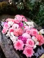 本郷氷川神社(東京都)