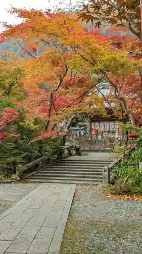 鍬山神社(京都府)