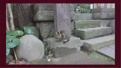 小野照崎神社(東京都)