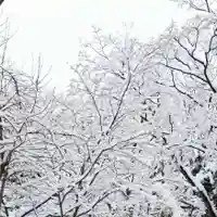 彌彦神社 (伊夜日子神社)の自然