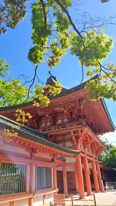 武蔵一宮氷川神社の{uncategorized: "未分類", other: "その他", undefined: "問題あり", building: "その他建物", grave: "お墓", sacred_gate: "鳥居", guardian: "狛犬", statue: "像", buddha: "仏像", history: "歴史", nature: "自然", garden: "庭園", animal: "動物", pagoda: "塔", temizu: "手水舎", mountain_gate: "山門・神門", sanctuary: "本殿・本堂", subordinate: "末社・摂社", art: "芸術", scenery: "景色", jizo: "地蔵", ema: "絵馬", goshuin: "御朱印", omikuji: "おみくじ", items: "授与品その他", amulet: "お守り", goshuincho: "御朱印帳", eats: "食事", festival: "お祭り", votive_dance: "神楽", shichigosan: "七五三参", wedding: "結婚式", experience: "体験その他", initially: "初詣", around: "周辺", anti_infection: "感染症対策"}