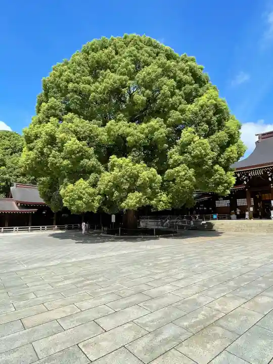 明治神宮の自然