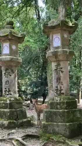 夫婦大國社（春日大社末社）(奈良県)