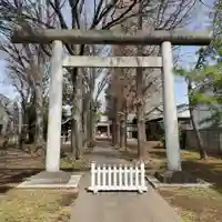 中町天祖神社の鳥居