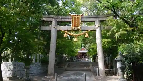 磐手杜神社の鳥居